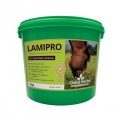 GLOBAL HERBS LAMIPRO POWDER